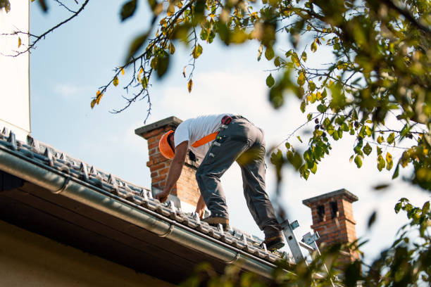 Roof Gutter Cleaning in Myrtletown, CA