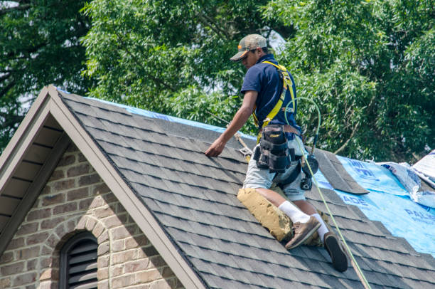Best Roof Maintenance Services  in Myrtletown, CA